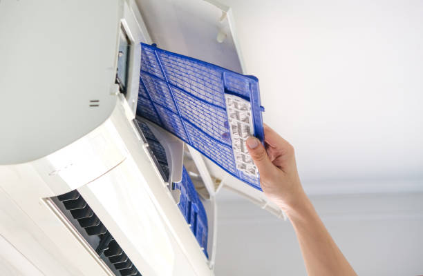 Best Affordable Duct Cleaning Services  in Alva, FL